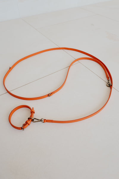 Leash | Naranja