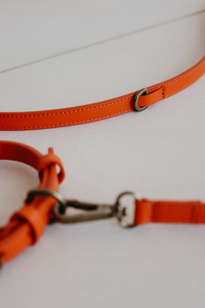 Leash | Naranja