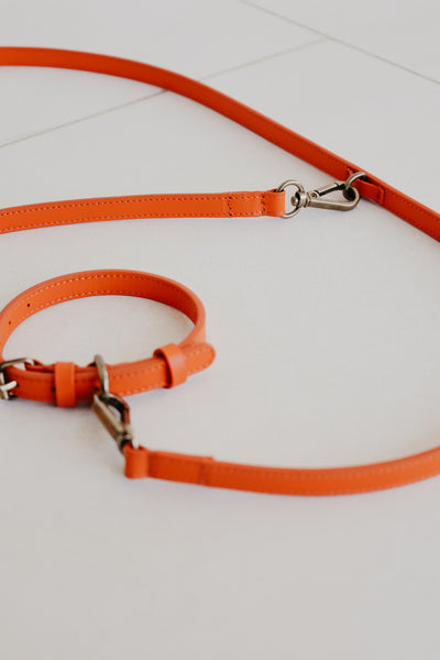 Leash | Naranja