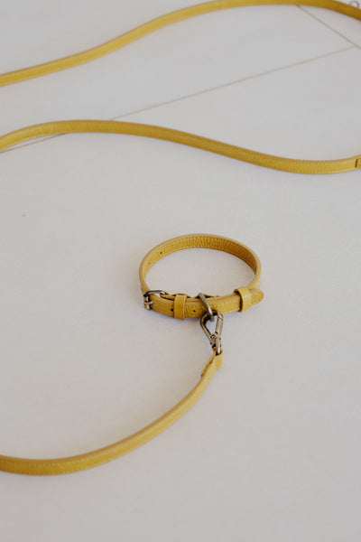 Leash | Citrine