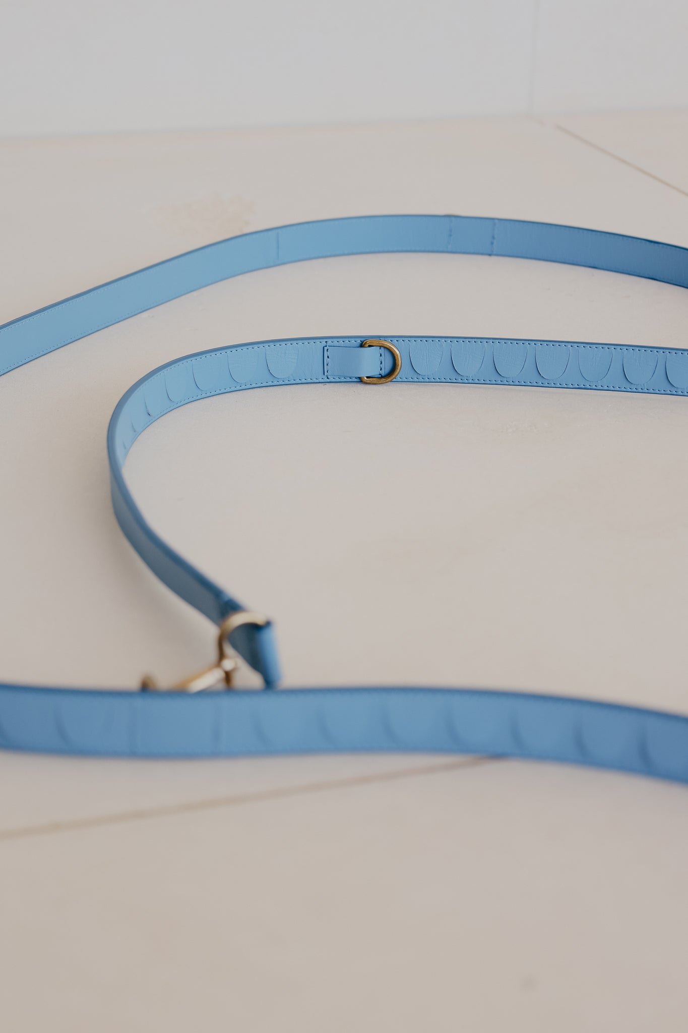 Leash Scales | Bleu Ciel