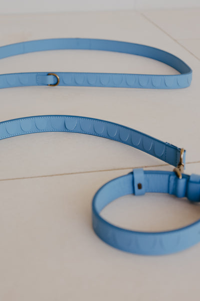 Leash Scales | Bleu Ciel