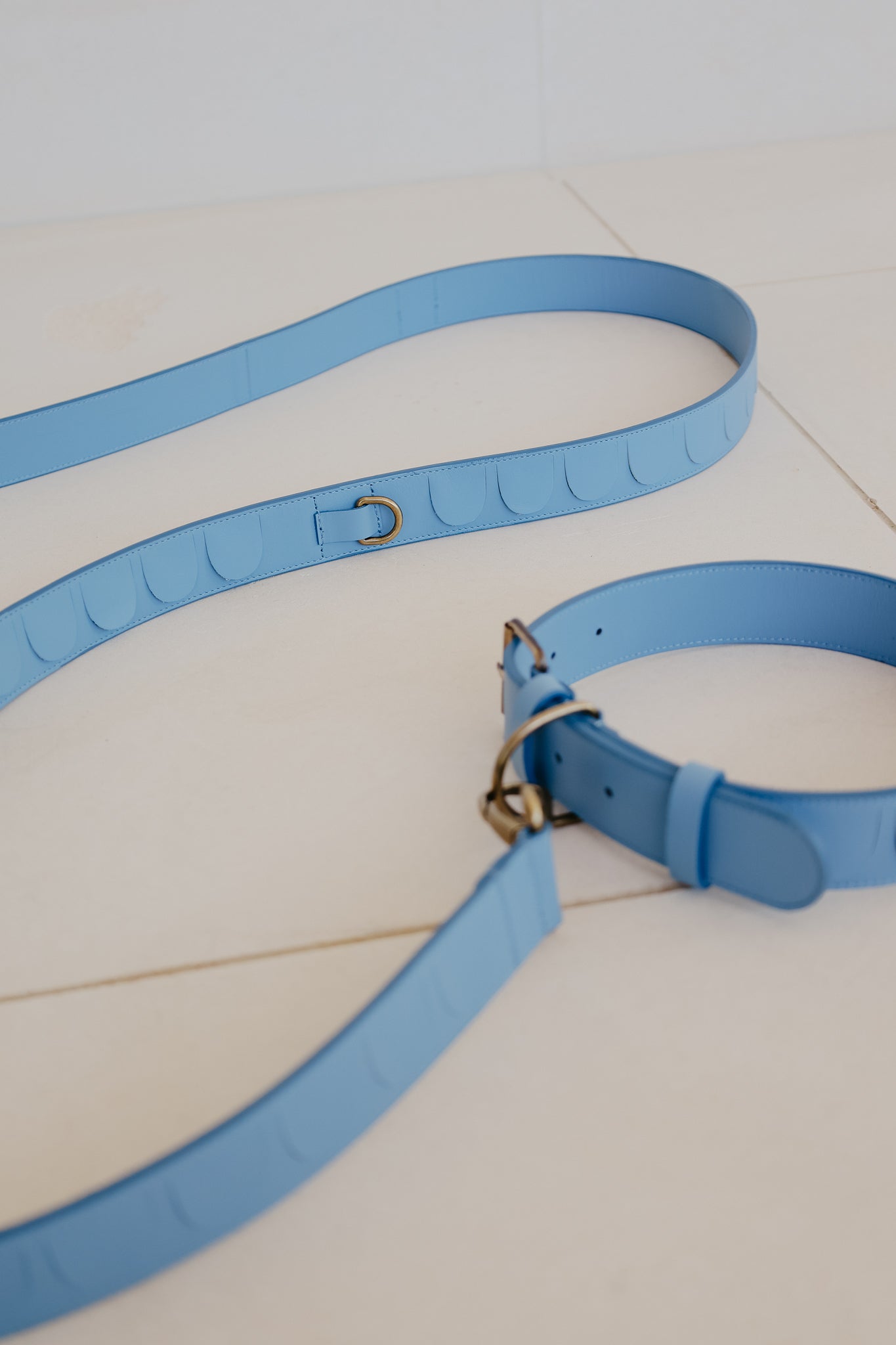 Leash Scales | Bleu Ciel