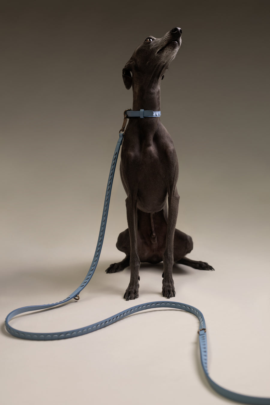 Leash Scales | Bleu Ciel