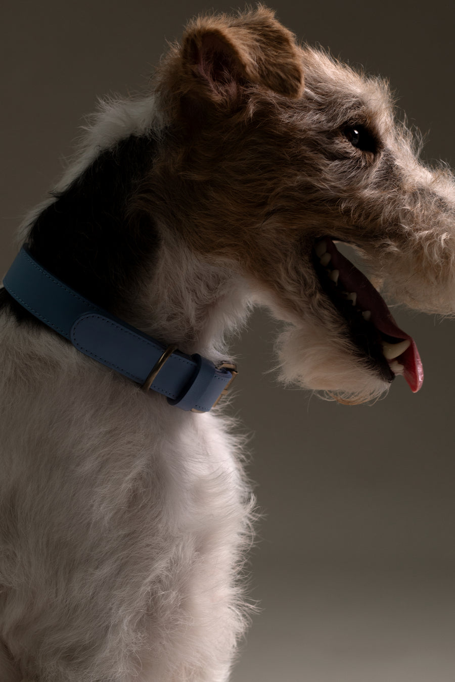 Collar | Bleu Ciel