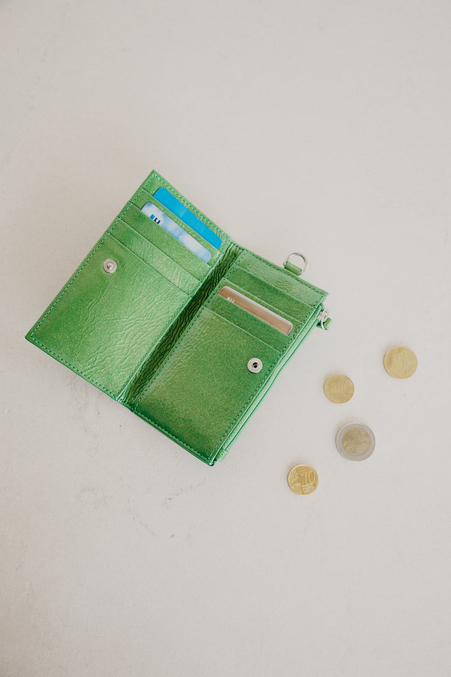 Cardholder Zip Dots | Grass Stone