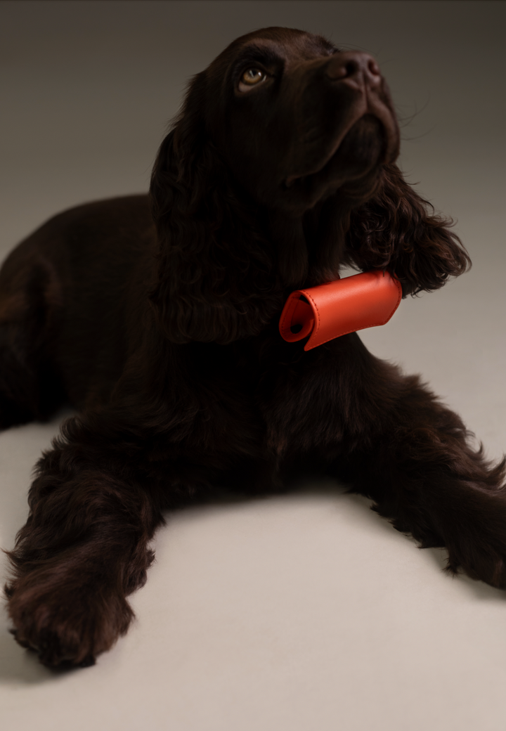 Poop Bag | Naranja