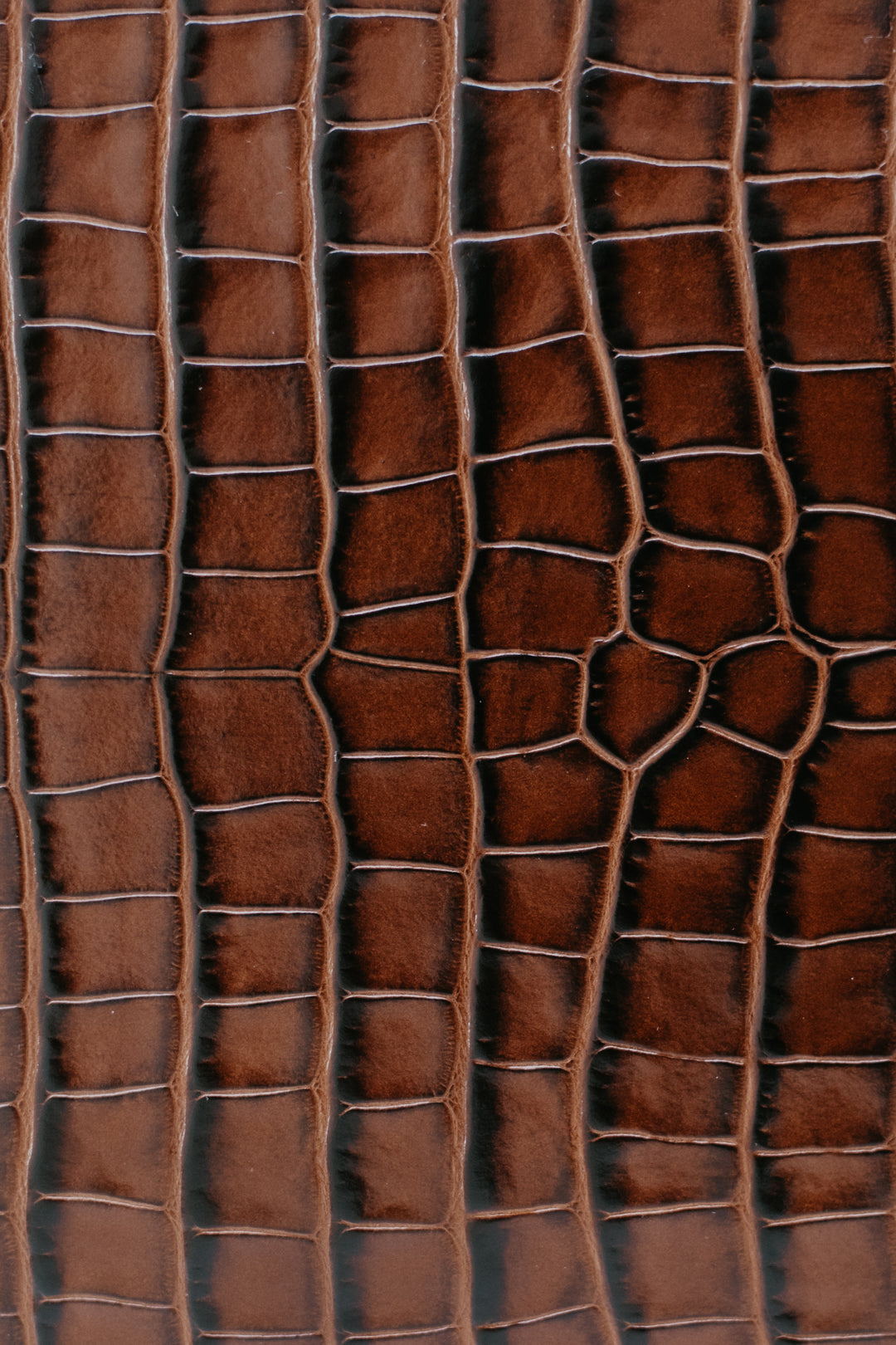 Selle unique | Chocolat Croco