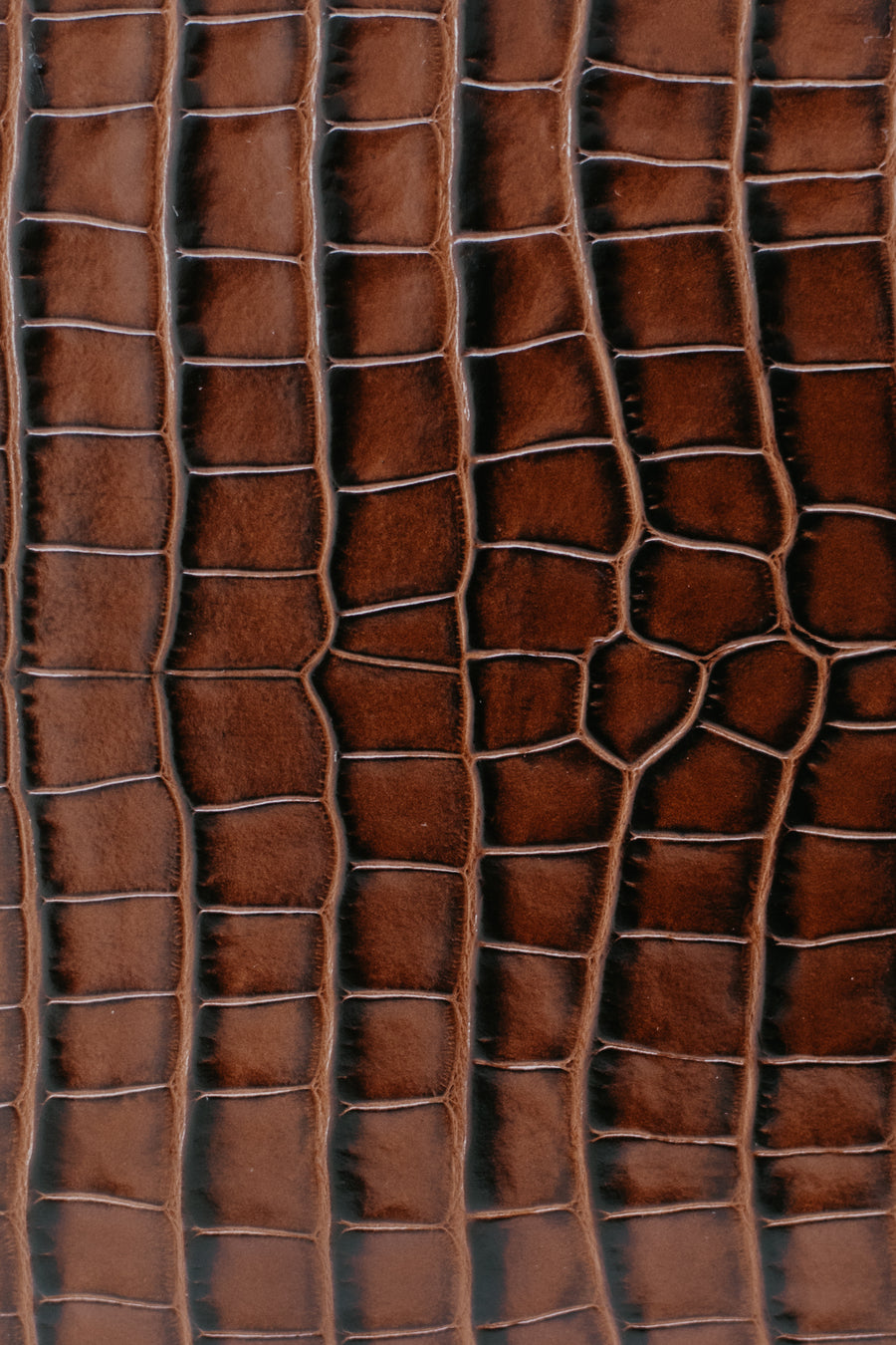 Selle unique | Chocolat Croco