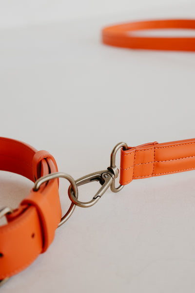 Leash Doublé | Naranja