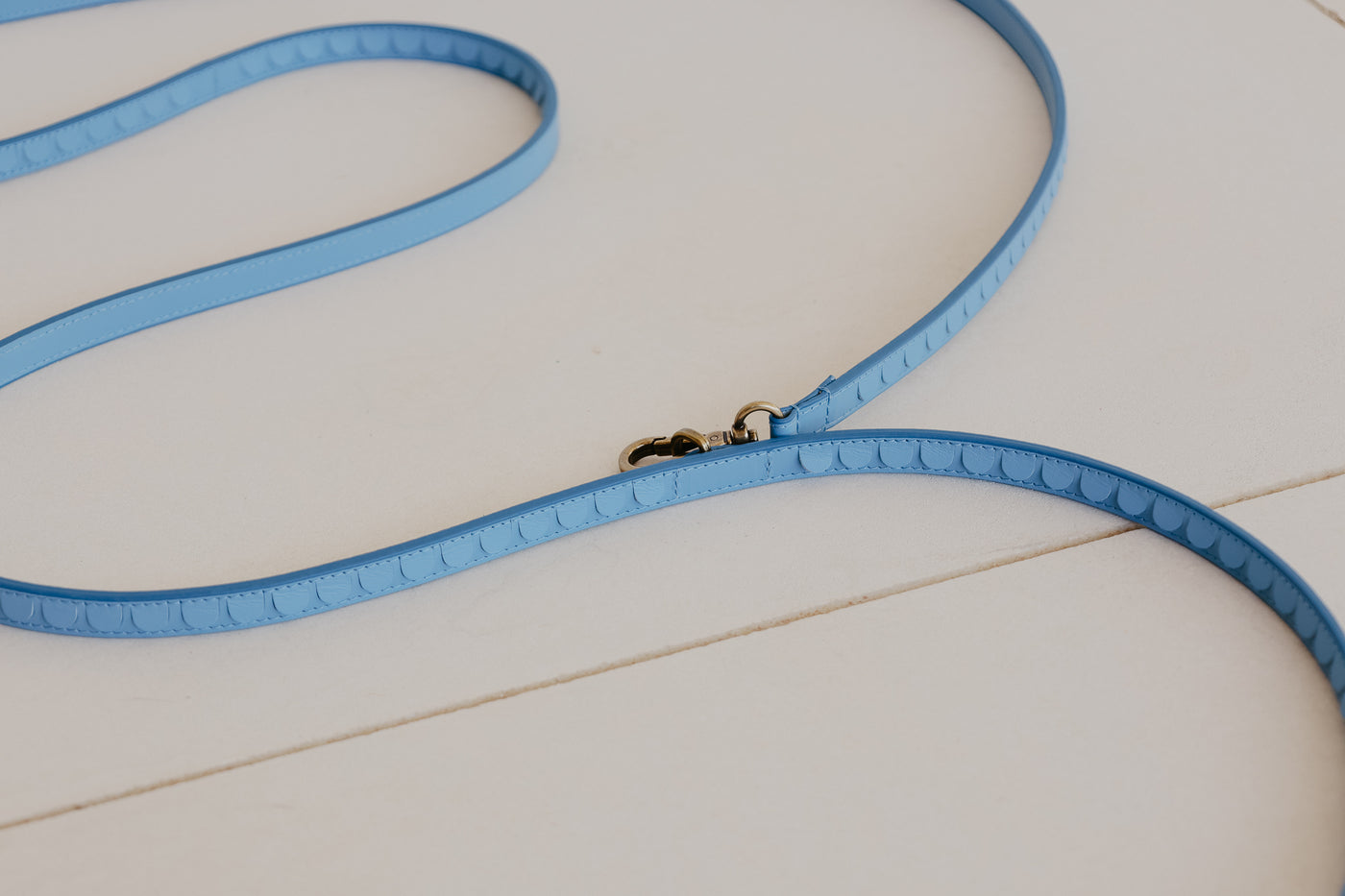 Leash Scales | Bleu Ciel