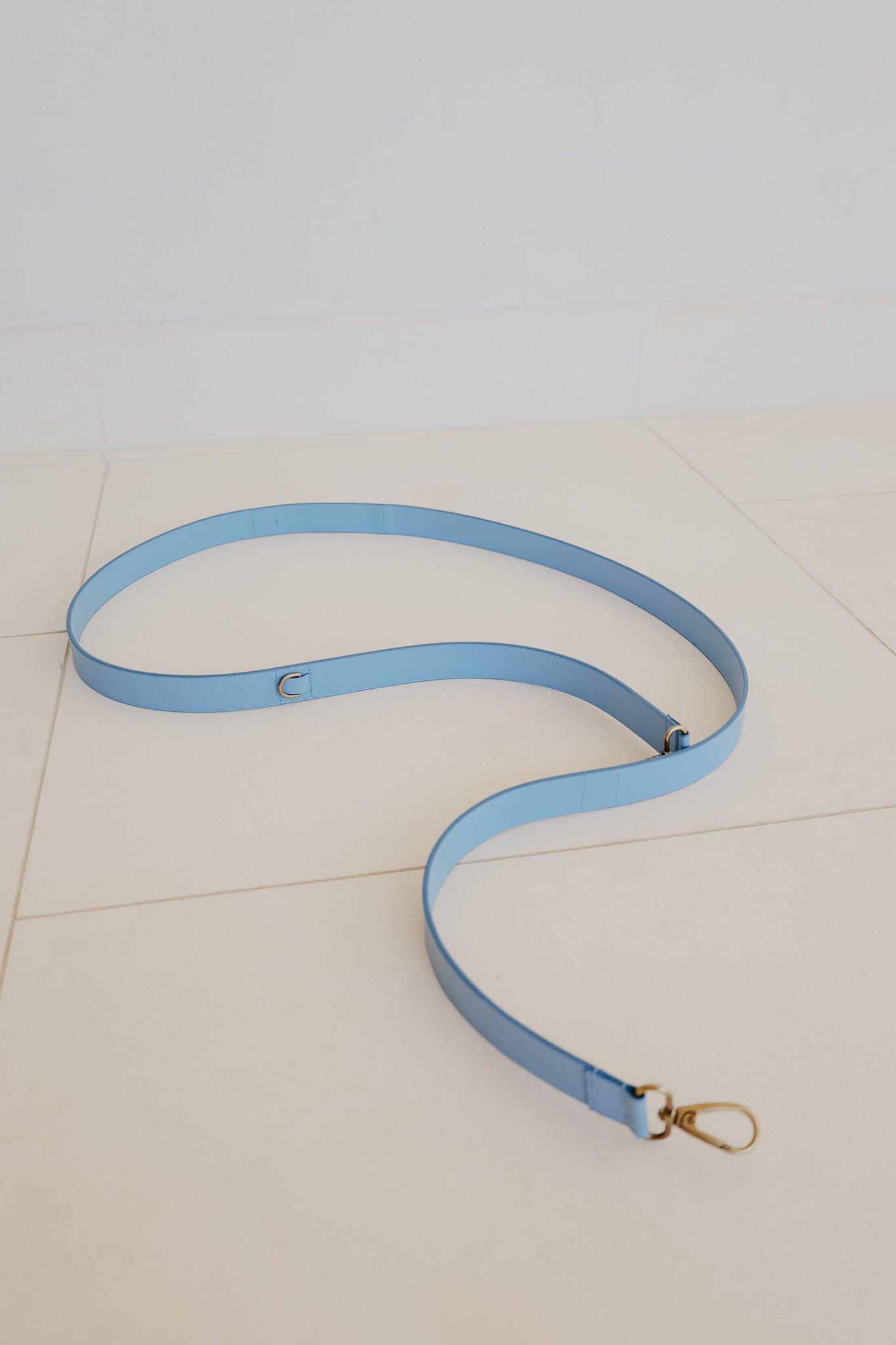 Leash | Bleu Ciel