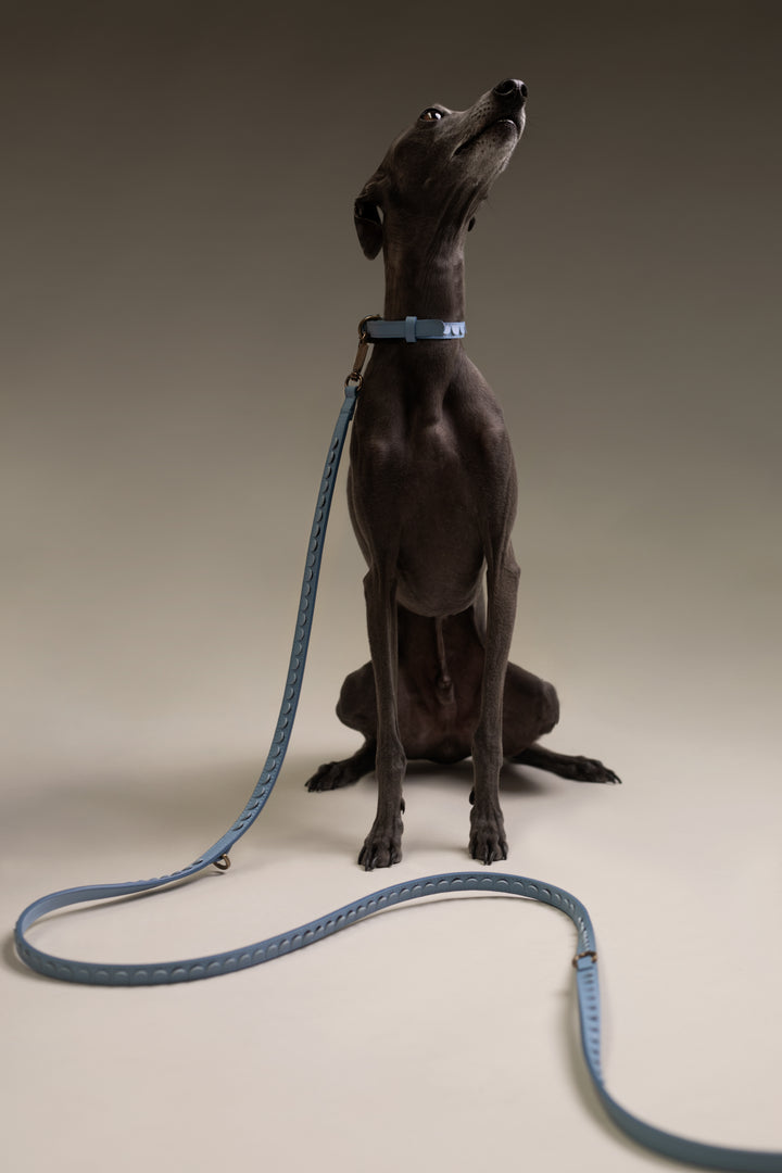 Leash Scales | Bleu Ciel