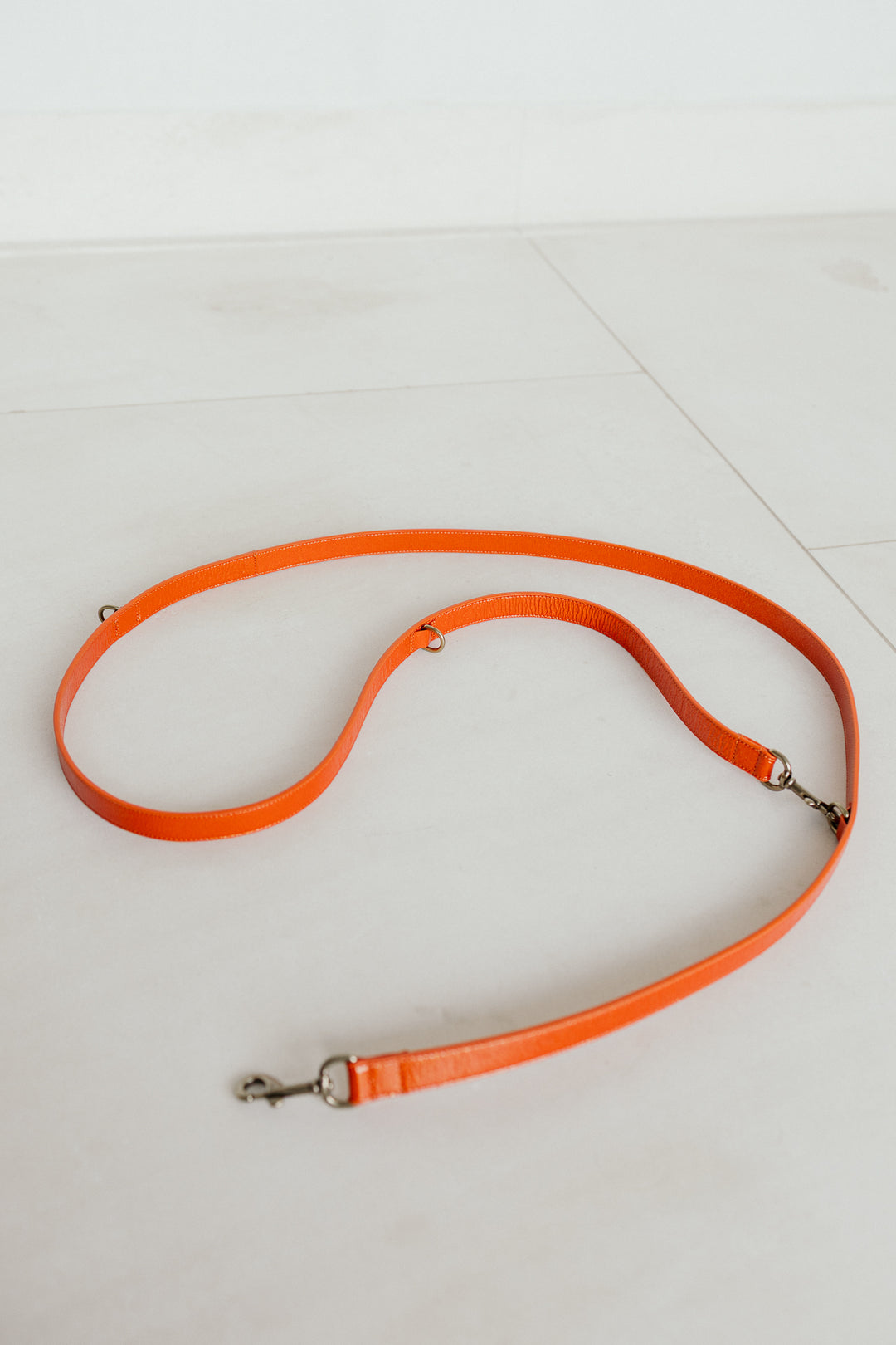 Leash | Garnet
