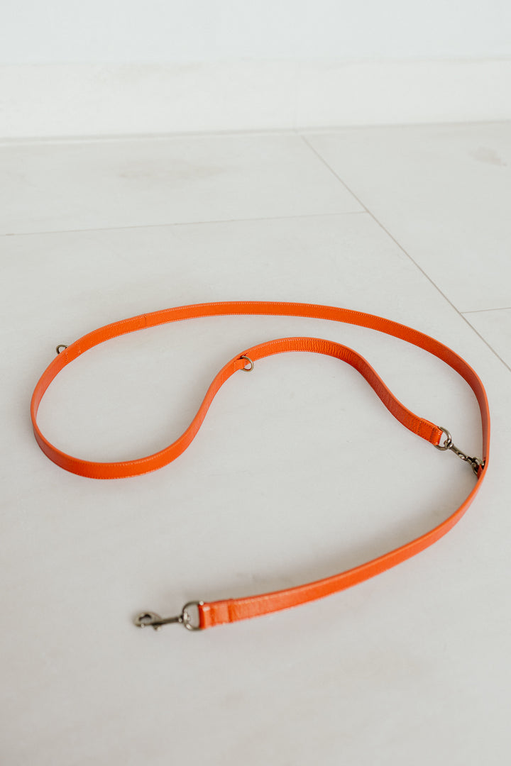 Leash | Garnet