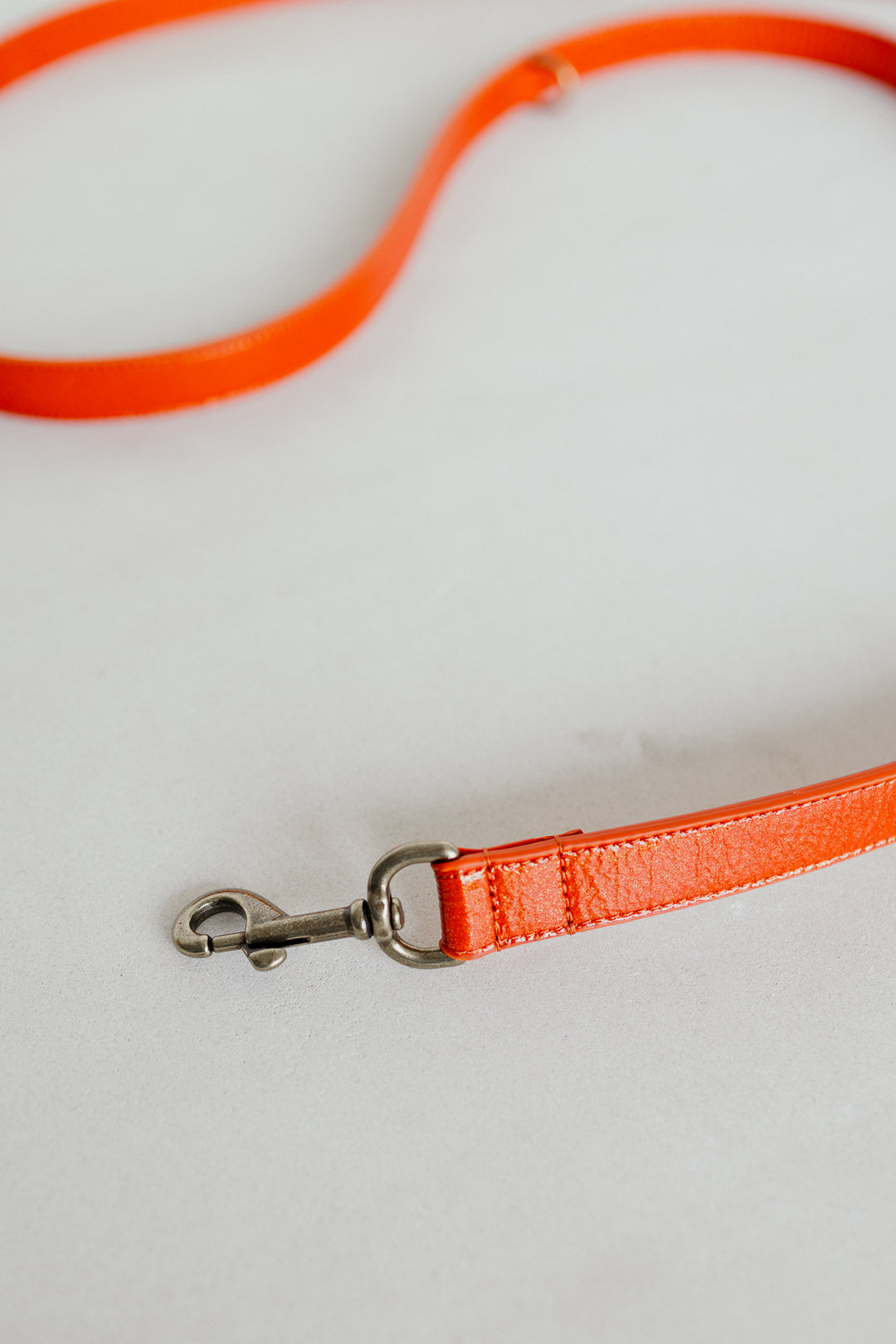 Leash | Garnet