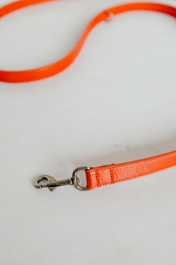Leash | Garnet