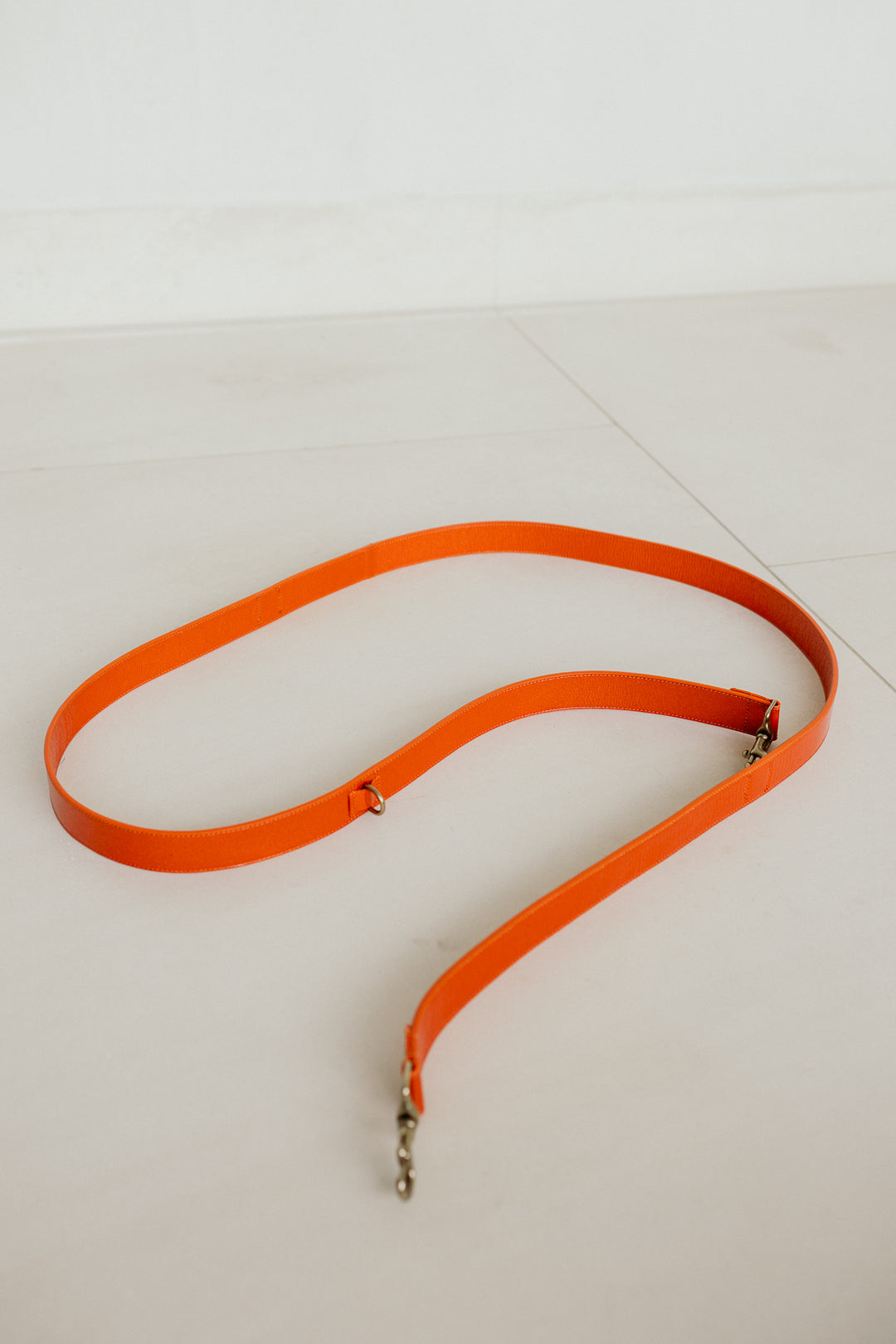 Leash | Garnet