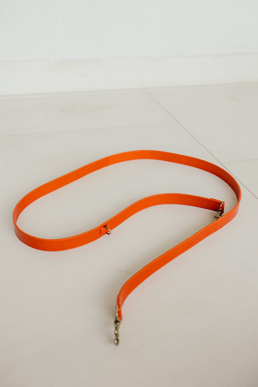 Leash | Garnet