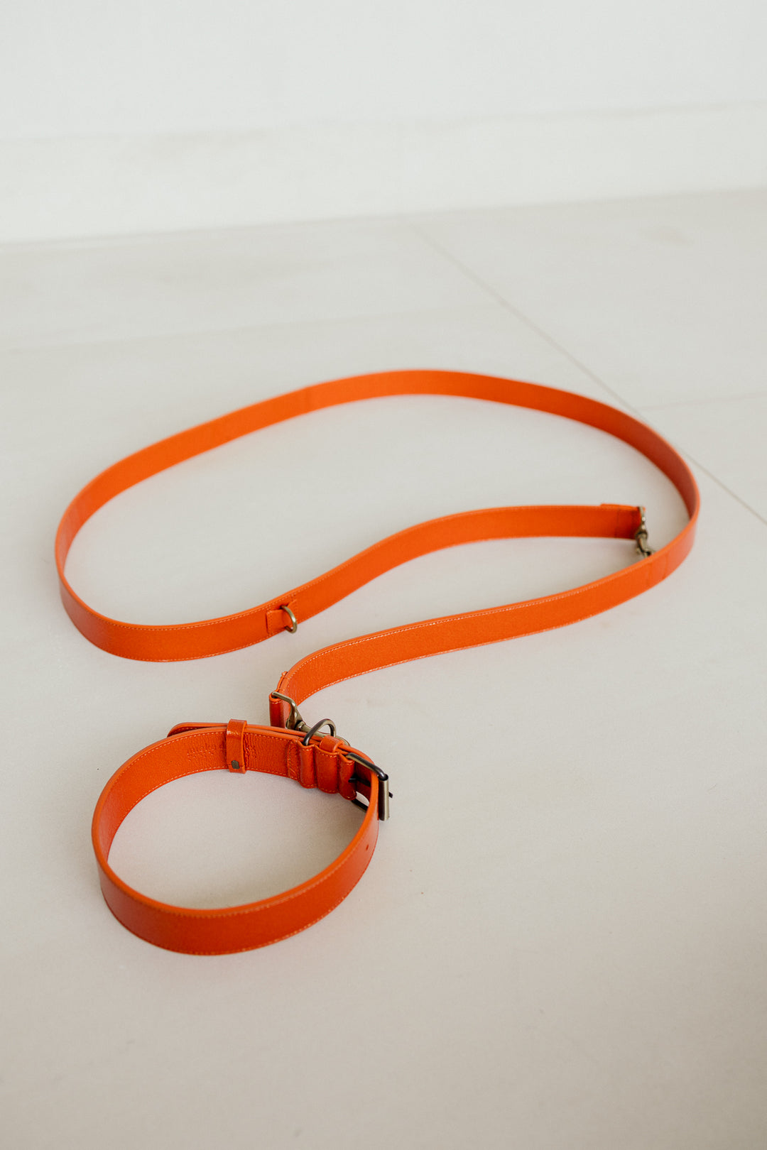 Leash | Garnet