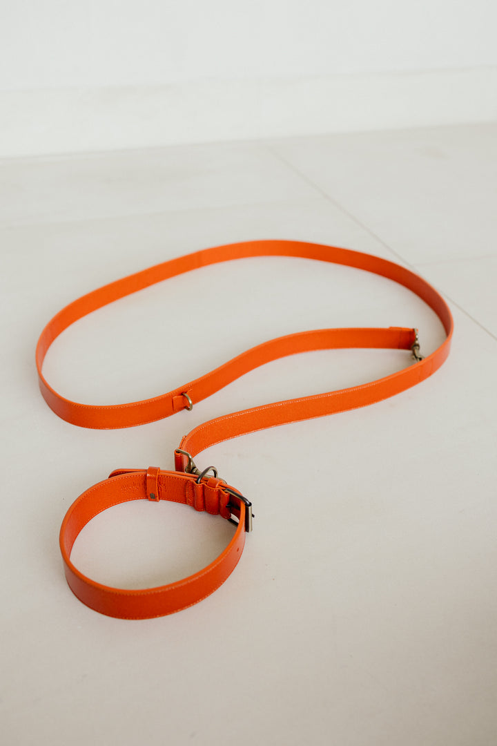 Leash | Garnet