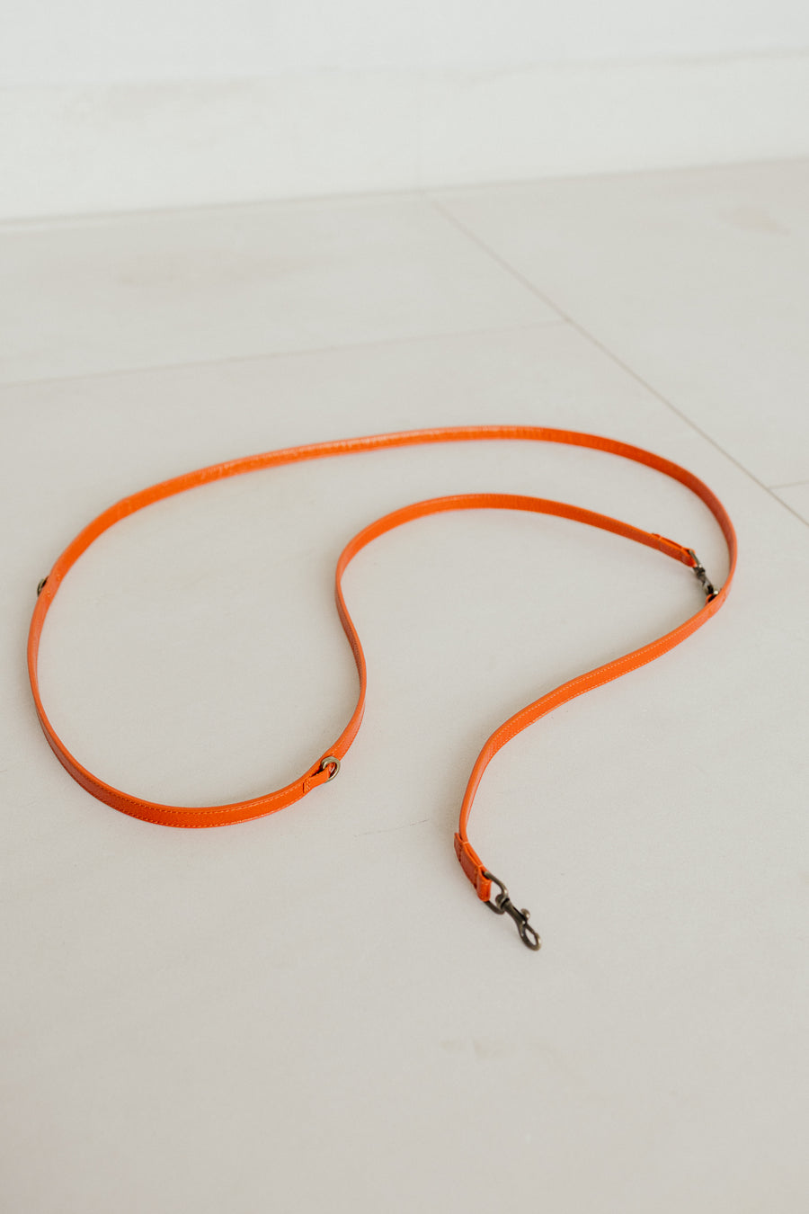 Leash | Garnet