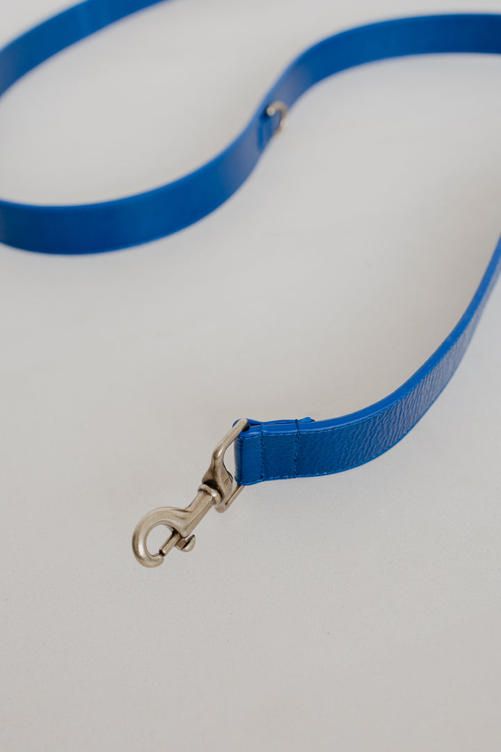 Leash | Sapphire