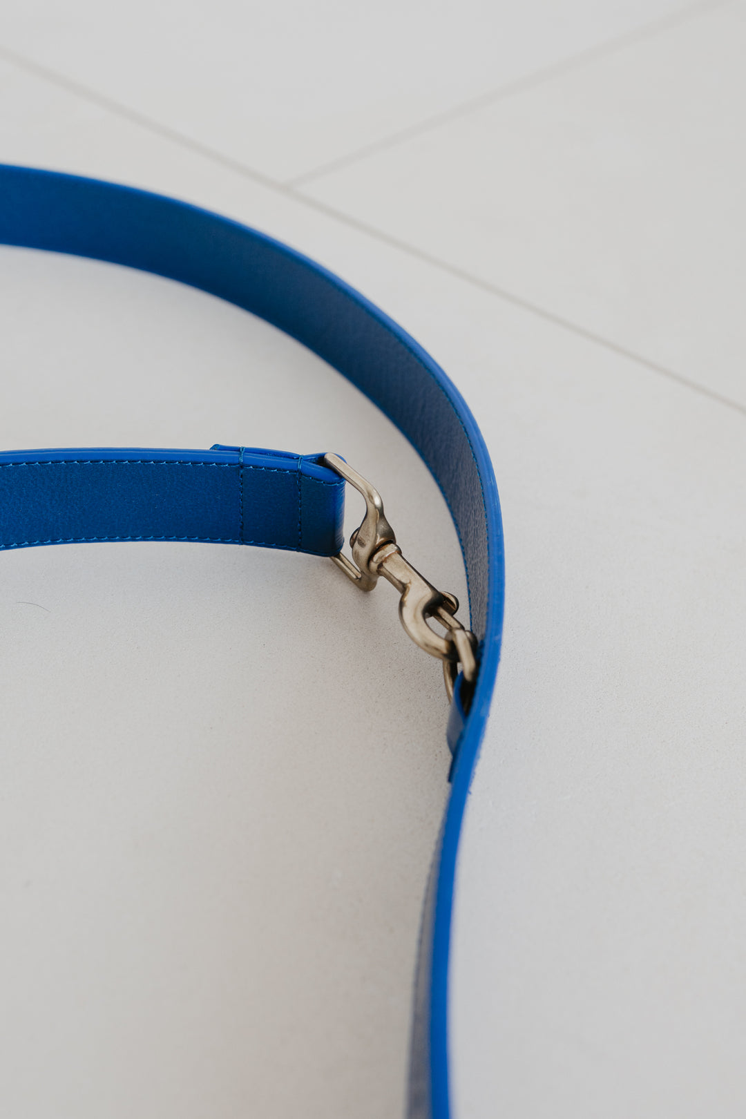 Leash | Sapphire