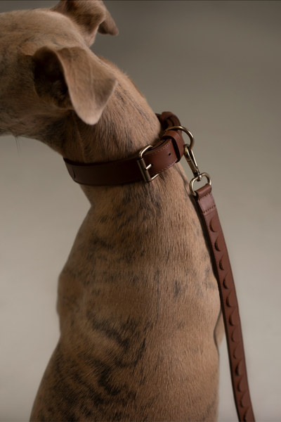 Collar Scales | Dark Cognac