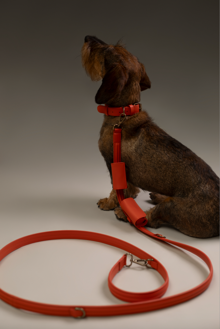 Leash Doublé | Naranja