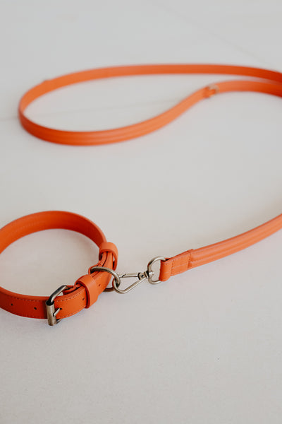 Leash Doublé | Naranja