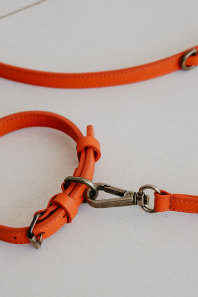 Collar | Naranja