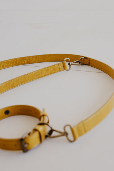 Leash | Citrine