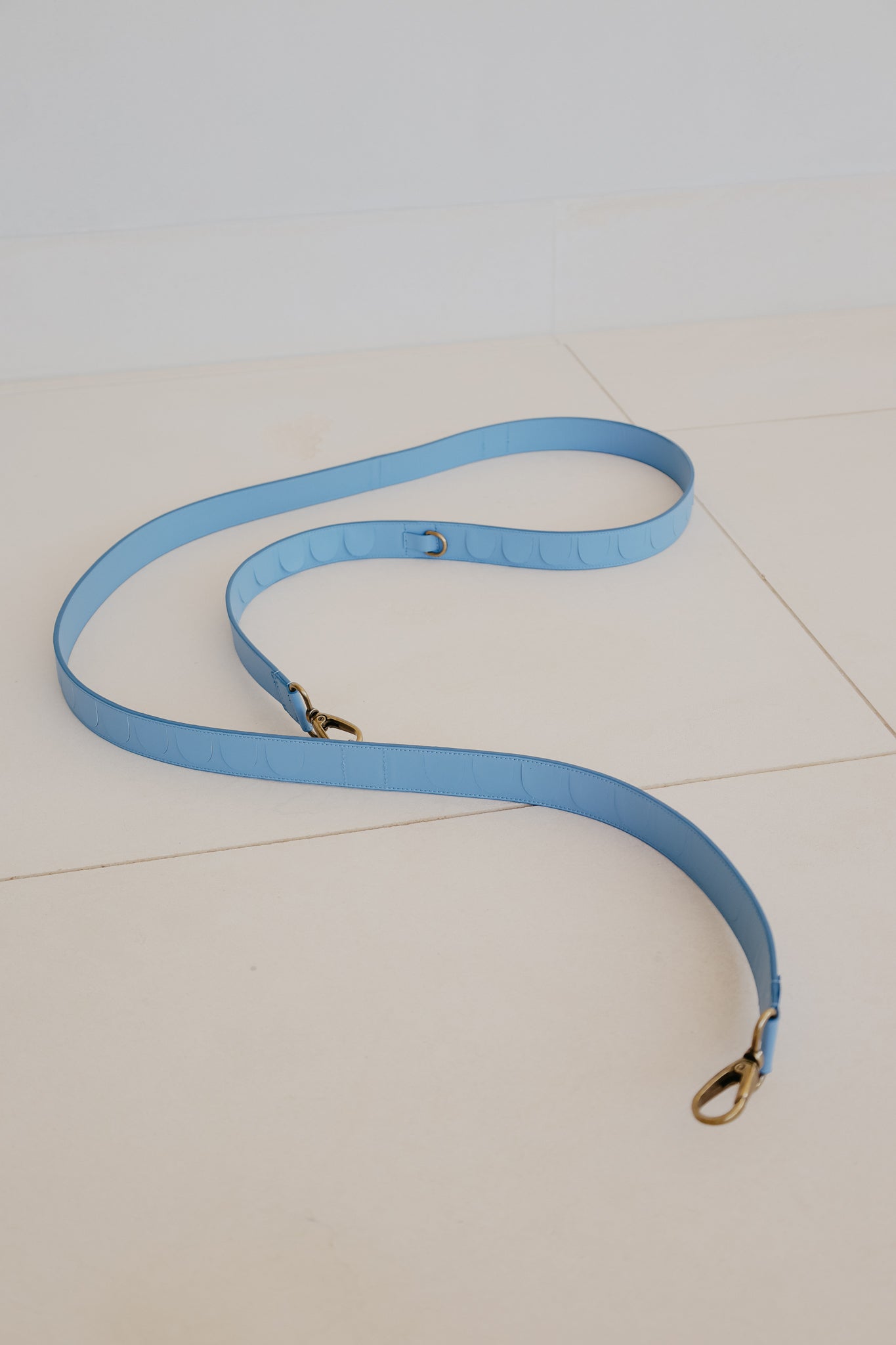 Leash Scales | Bleu Ciel