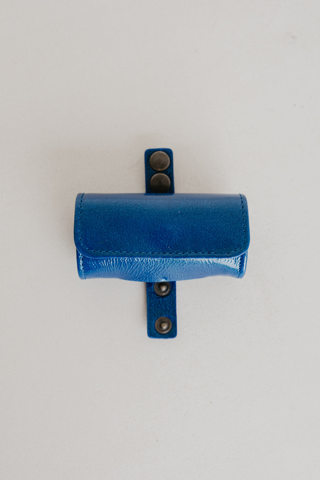 Poop Bag | Sapphire
