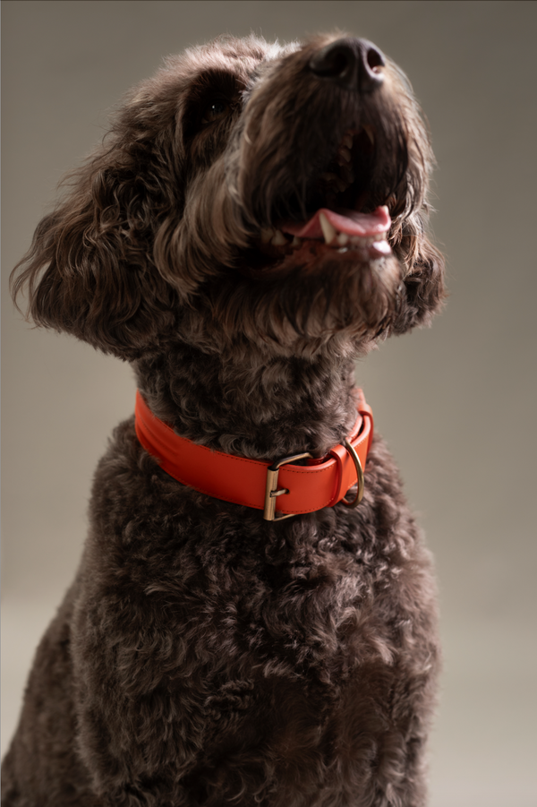 Collar Doublé | Naranja