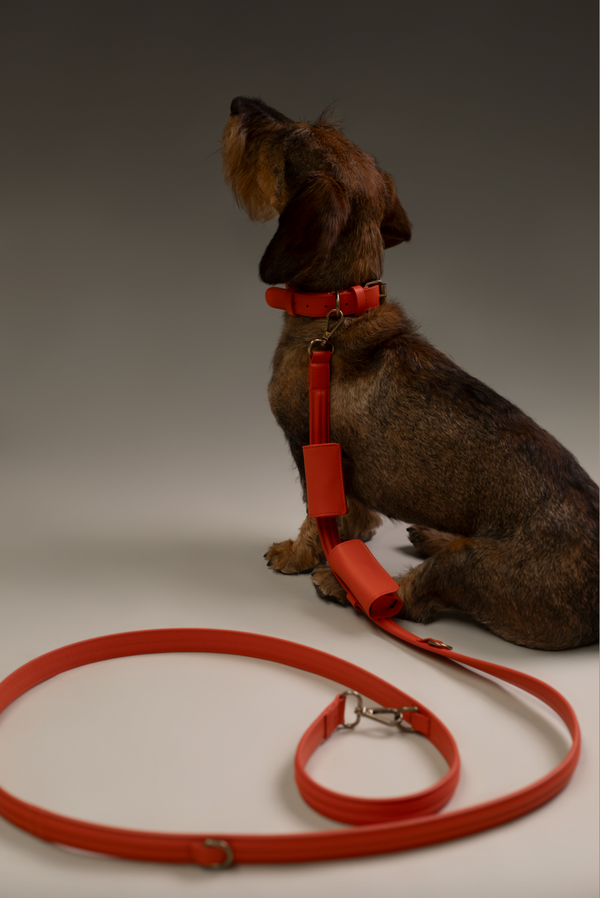 Leash Doublé | Naranja