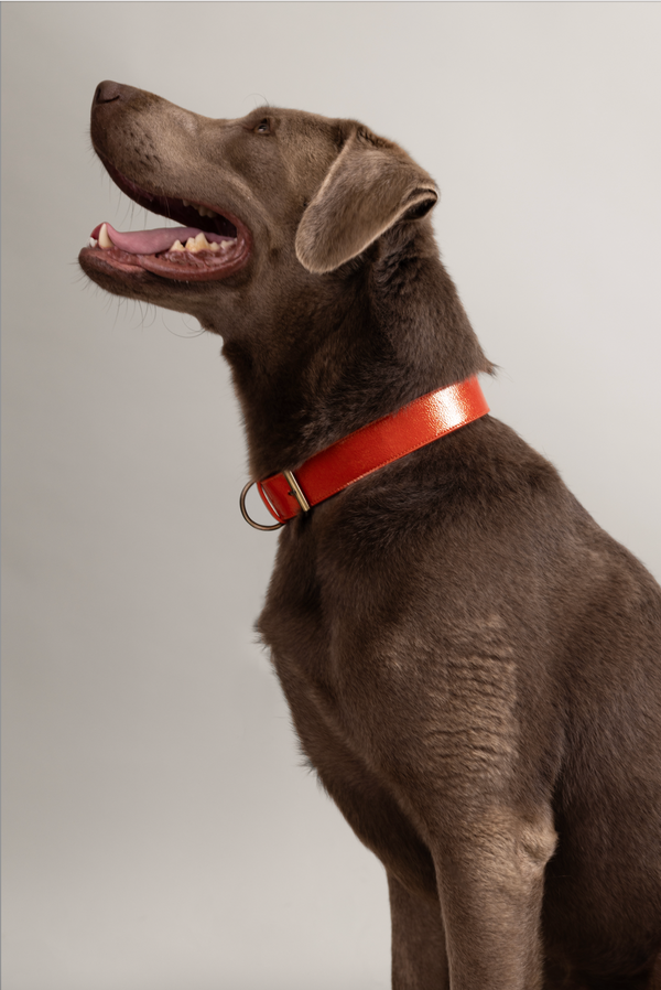 Collar | Garnet