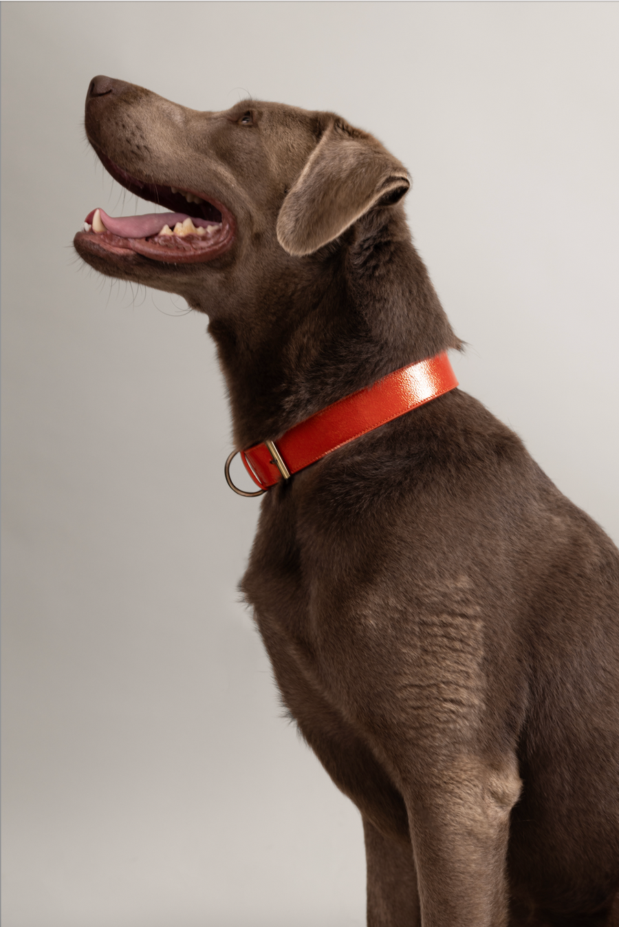 Collar | Garnet