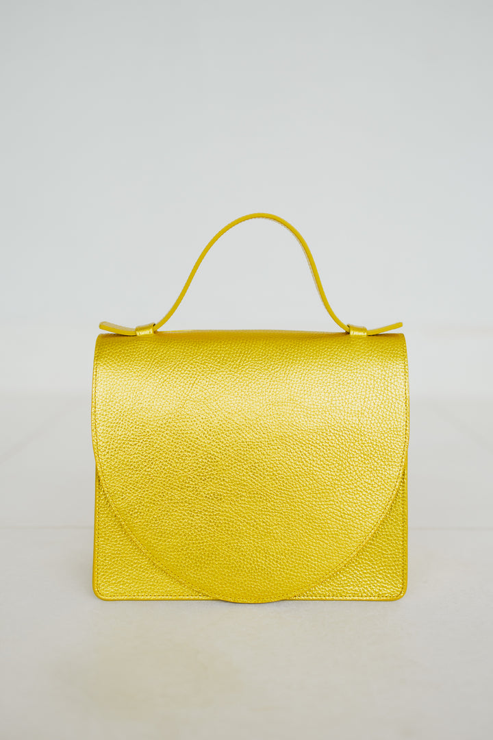 Mini Briefcase | Goldie Shimmer