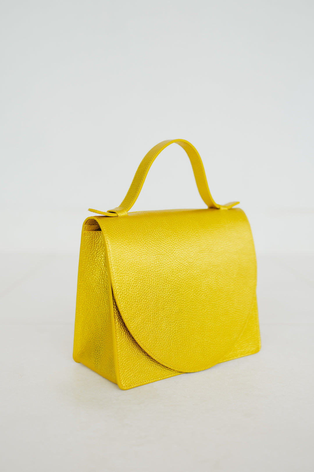 Mini Briefcase | Goldie Shimmer