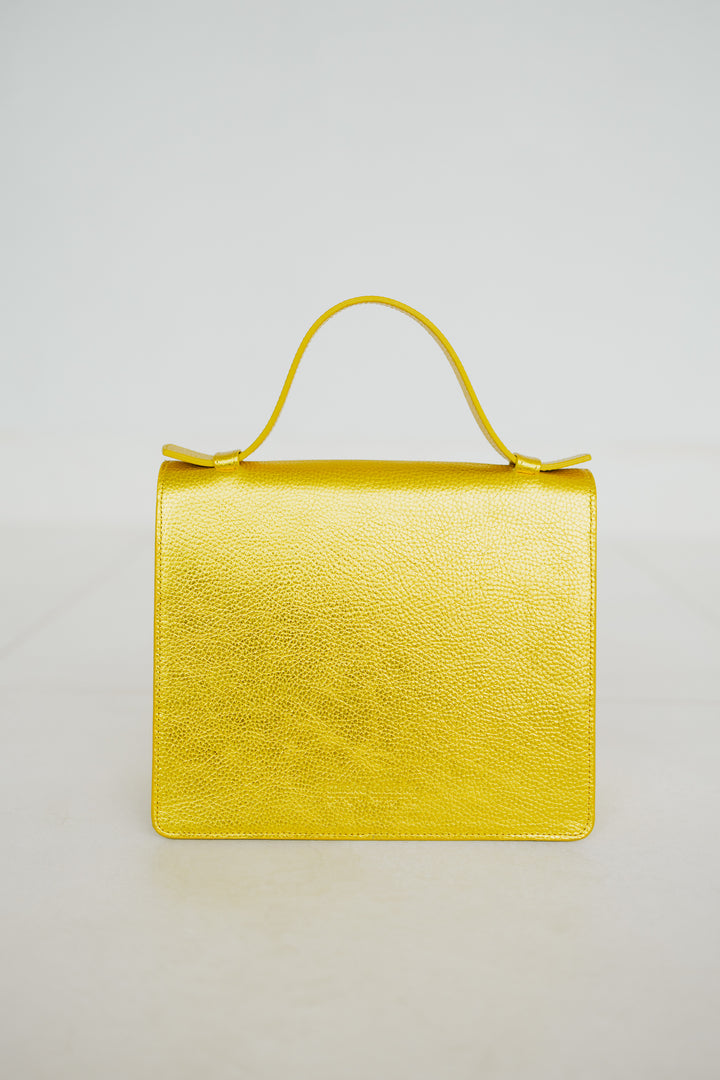 Mini Briefcase | Goldie Shimmer