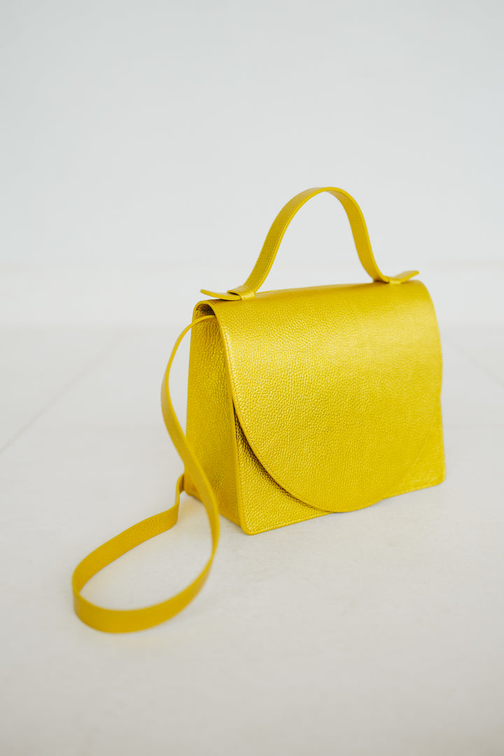 Mini Briefcase | Goldie Shimmer