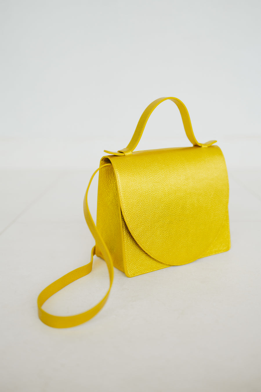 Mini Briefcase | Goldie Shimmer