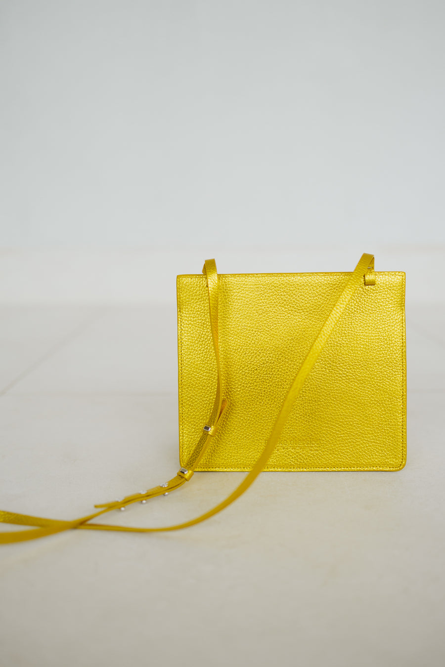 Double Pouch | Goldie Shimmer