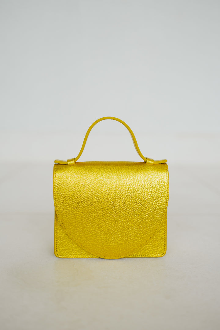 Micro Briefcase | Goldie Shimmer
