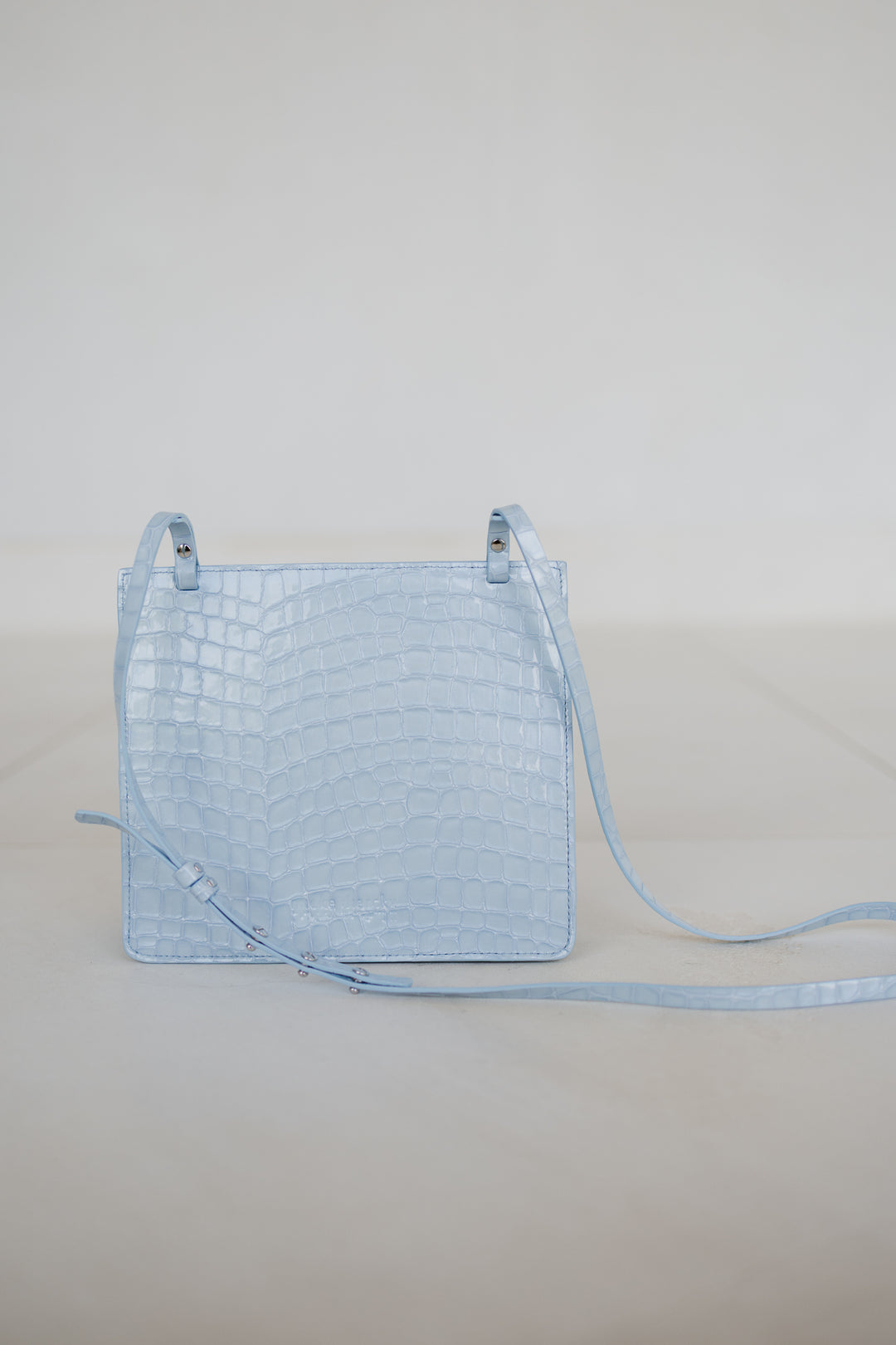 Double Pouch | Ice Blue Nacre Croco