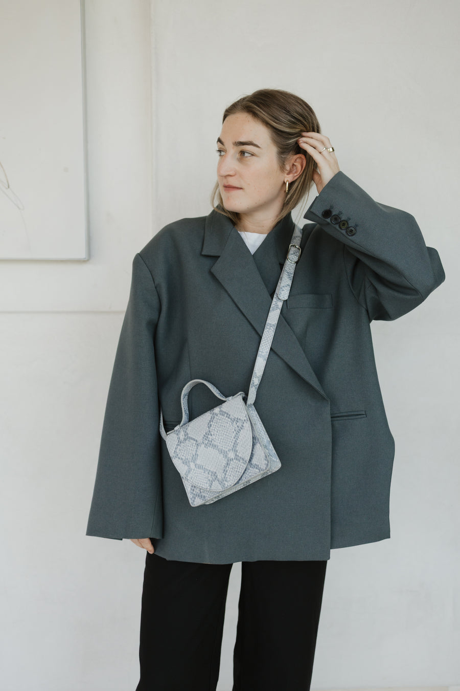 Micro Briefcase | Python